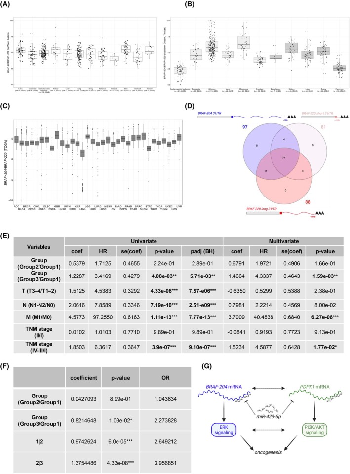 PMC12420348 – mol270043-fig-0002