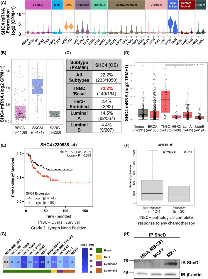 PMC12515706 – mol270022-fig-0001