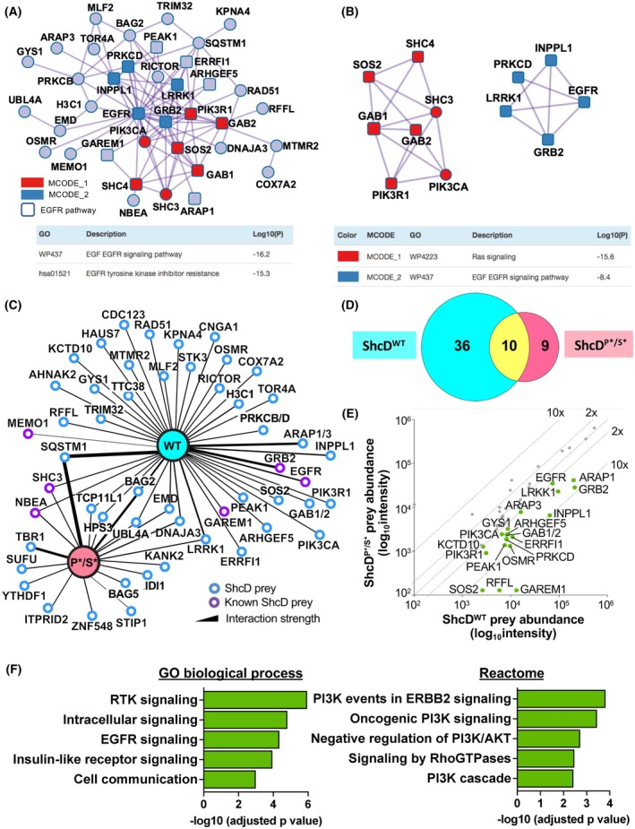 PMC12515706 – mol270022-fig-0003