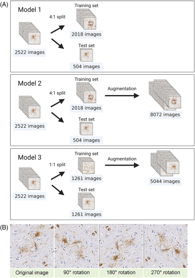 PMC9293025 – nan12759-fig-0003