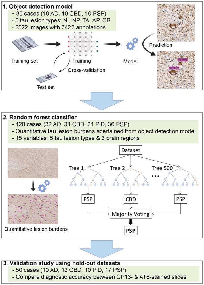 PMC9293025 – nan12759-fig-0001