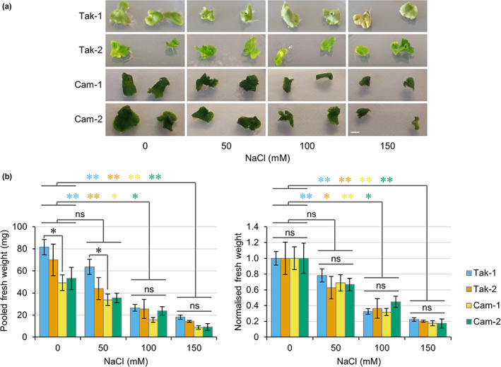 PMC10953335 – nph18633-fig-0002