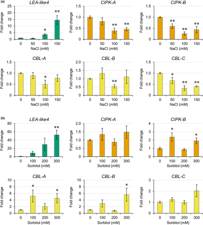 PMC10953335 – nph18633-fig-0003