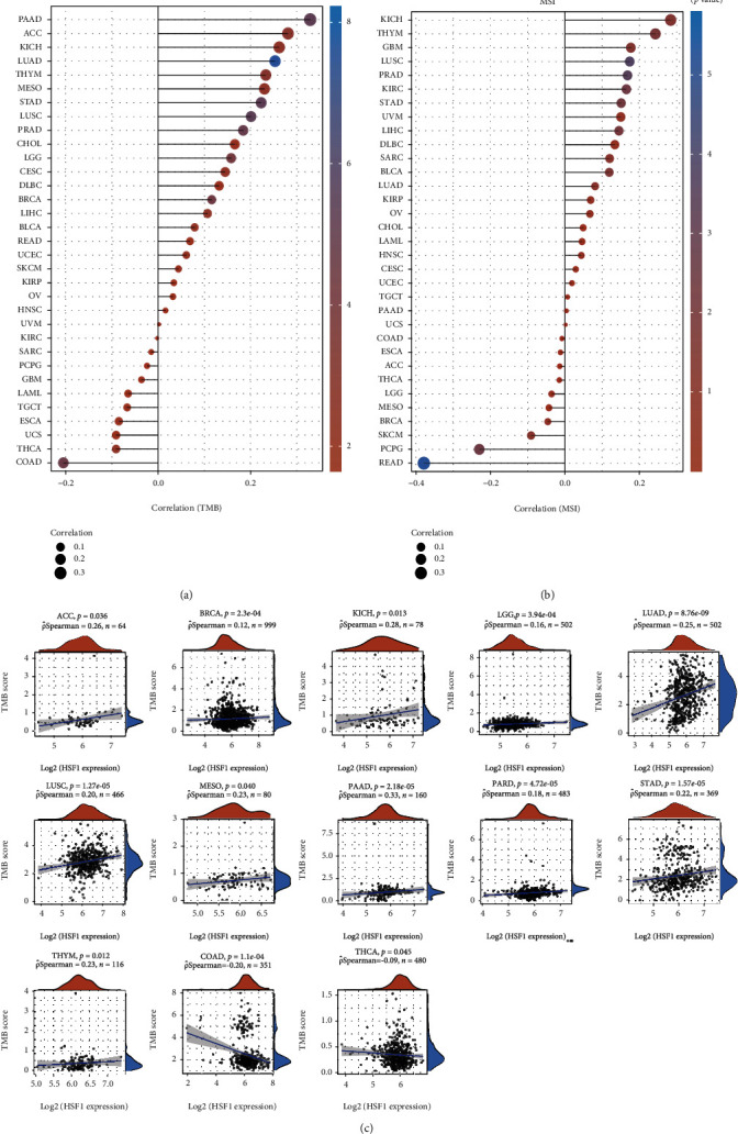 PMC8238600 – fig10