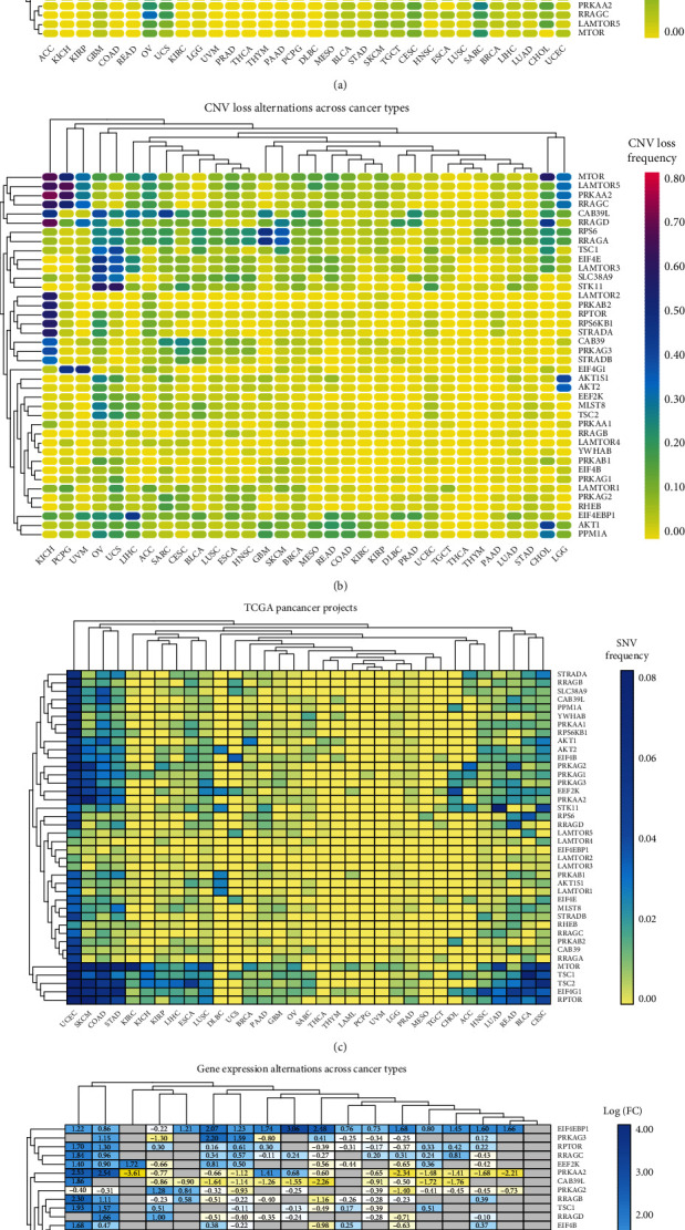 PMC8203410 – fig2