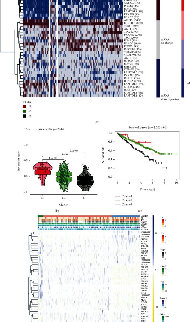 PMC8203410 – fig4
