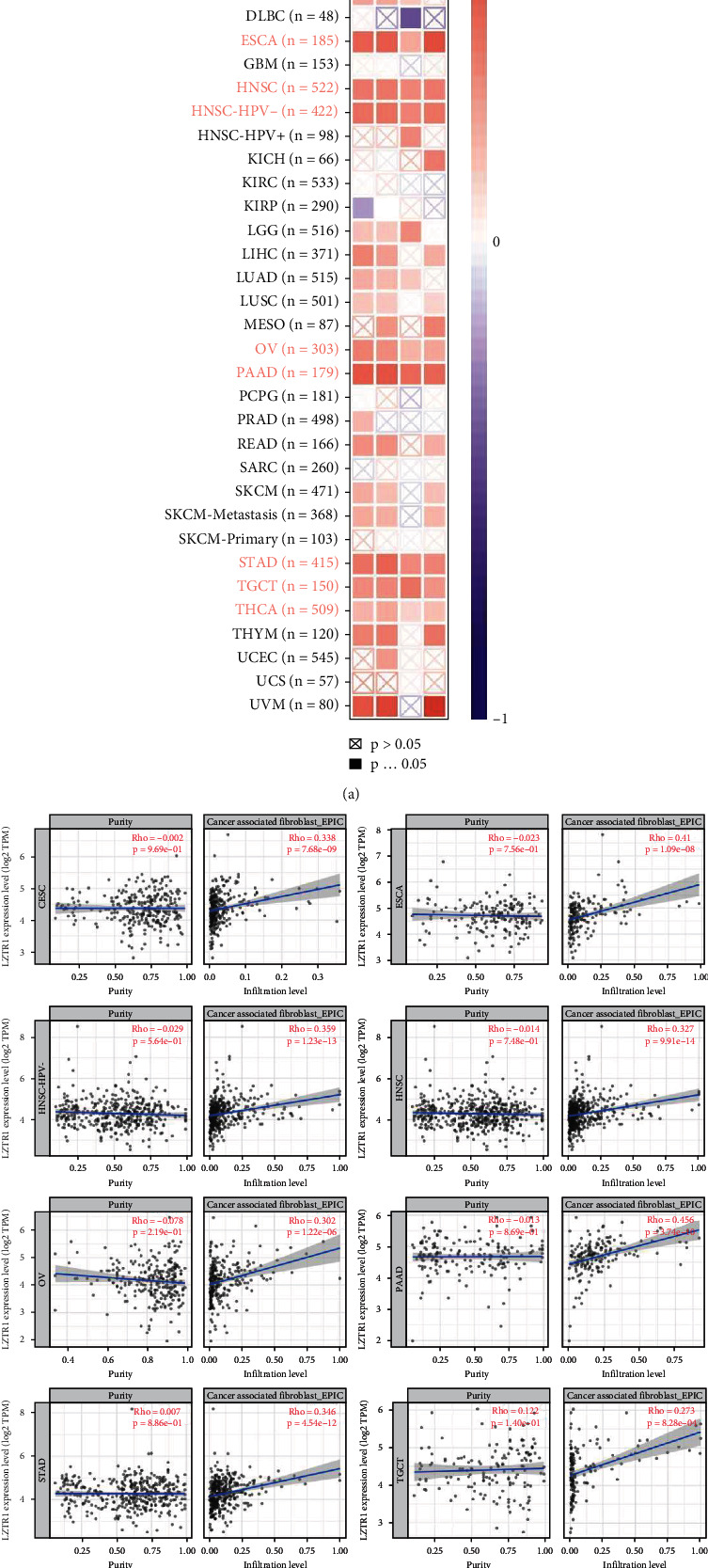 PMC9593223 – fig6