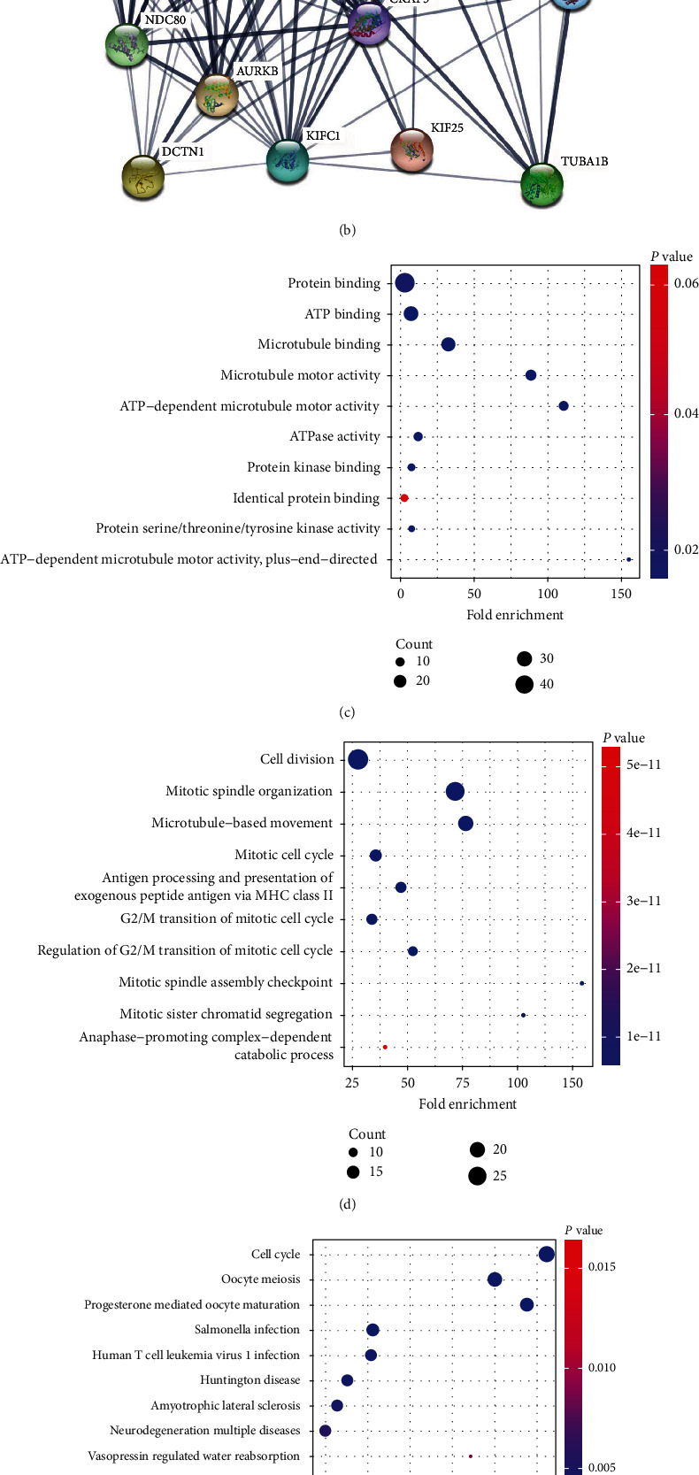 PMC9893523 – fig7