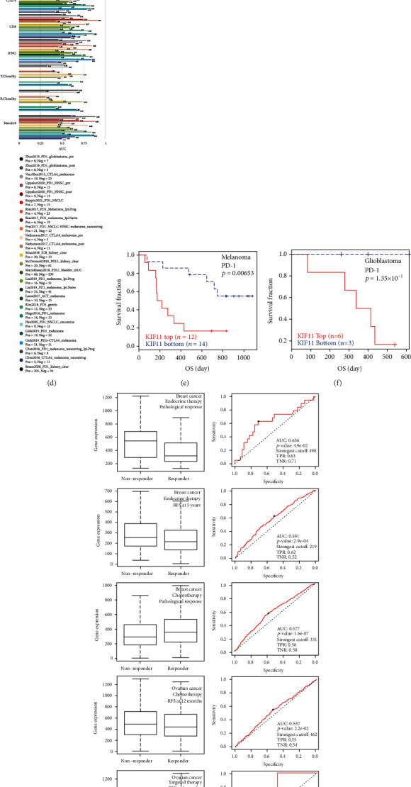 PMC9893523 – fig11