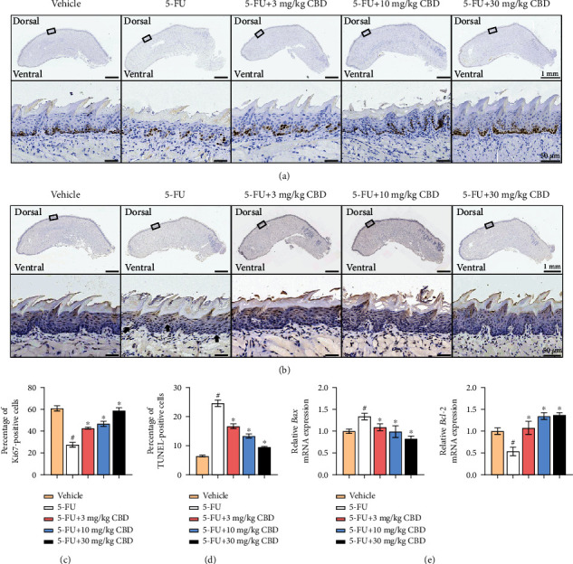 PMC9165619 – fig3