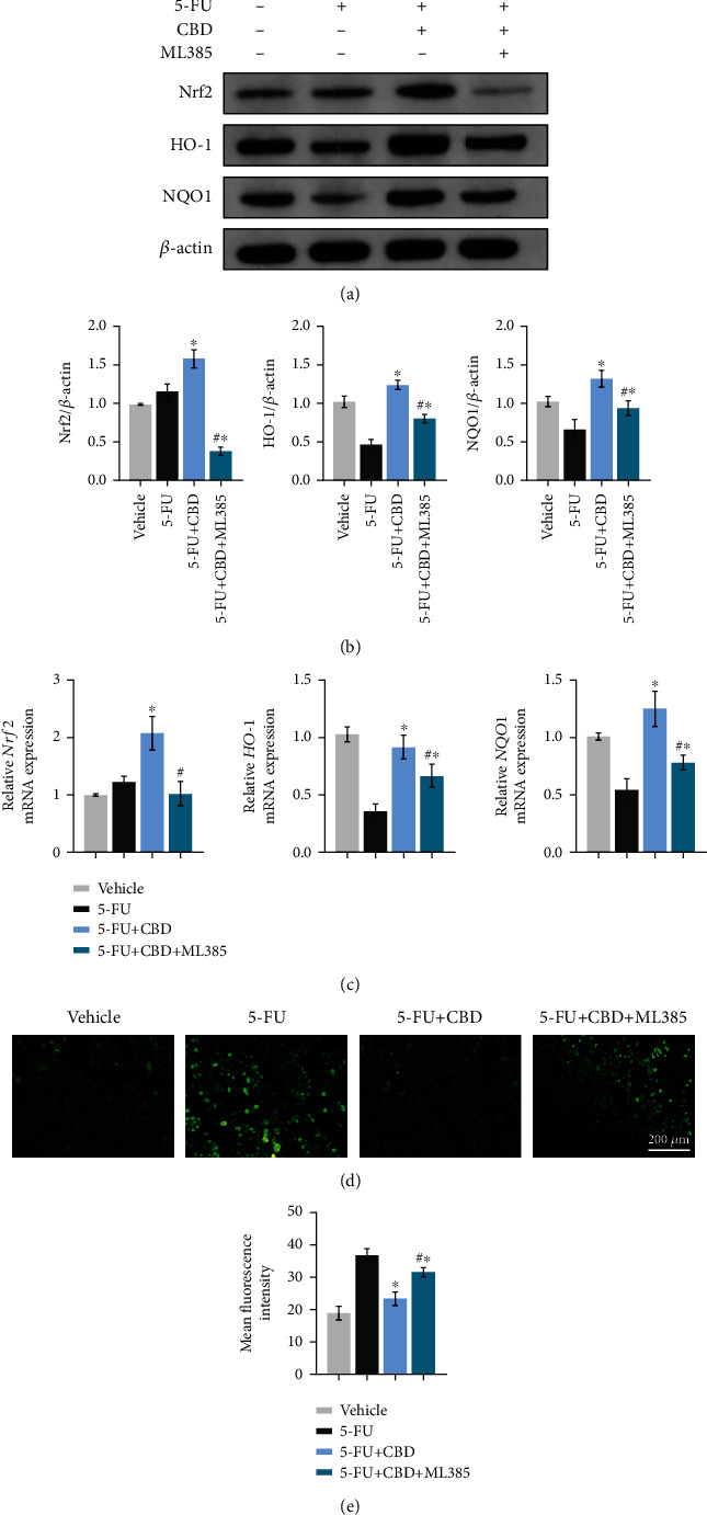 PMC9165619 – fig7
