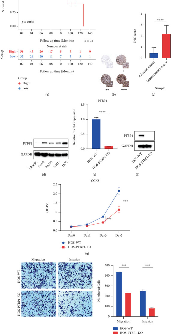 PMC9151003 – fig8
