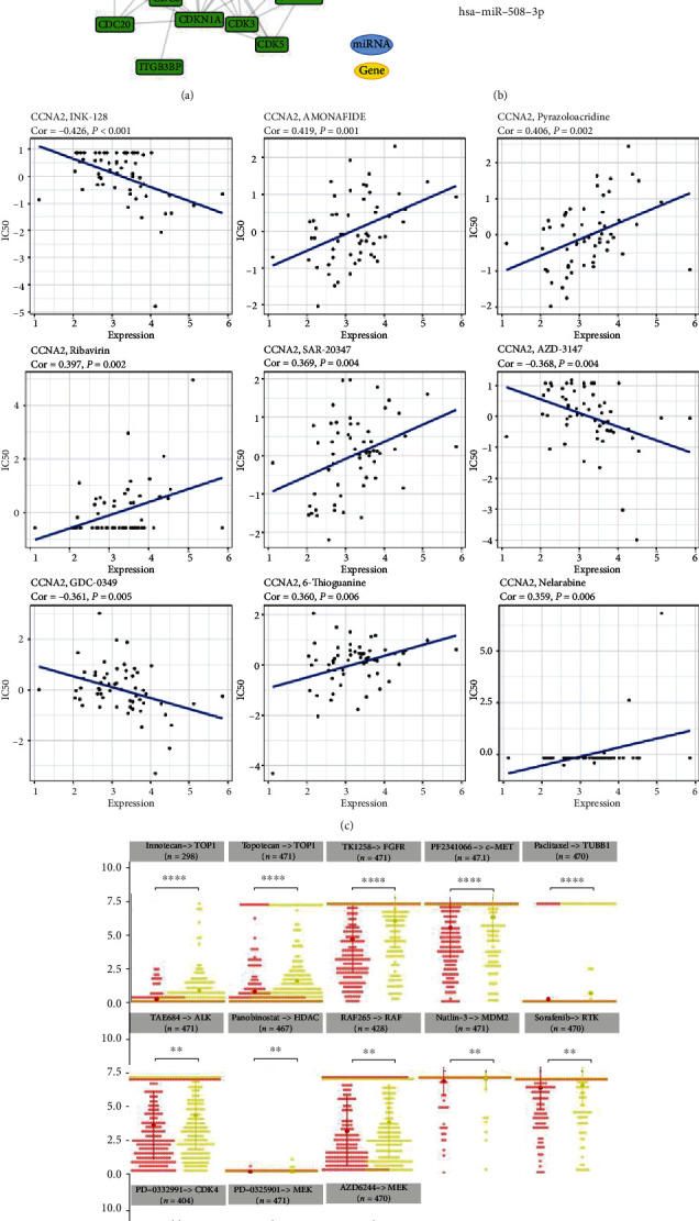 PMC8989596 – fig11
