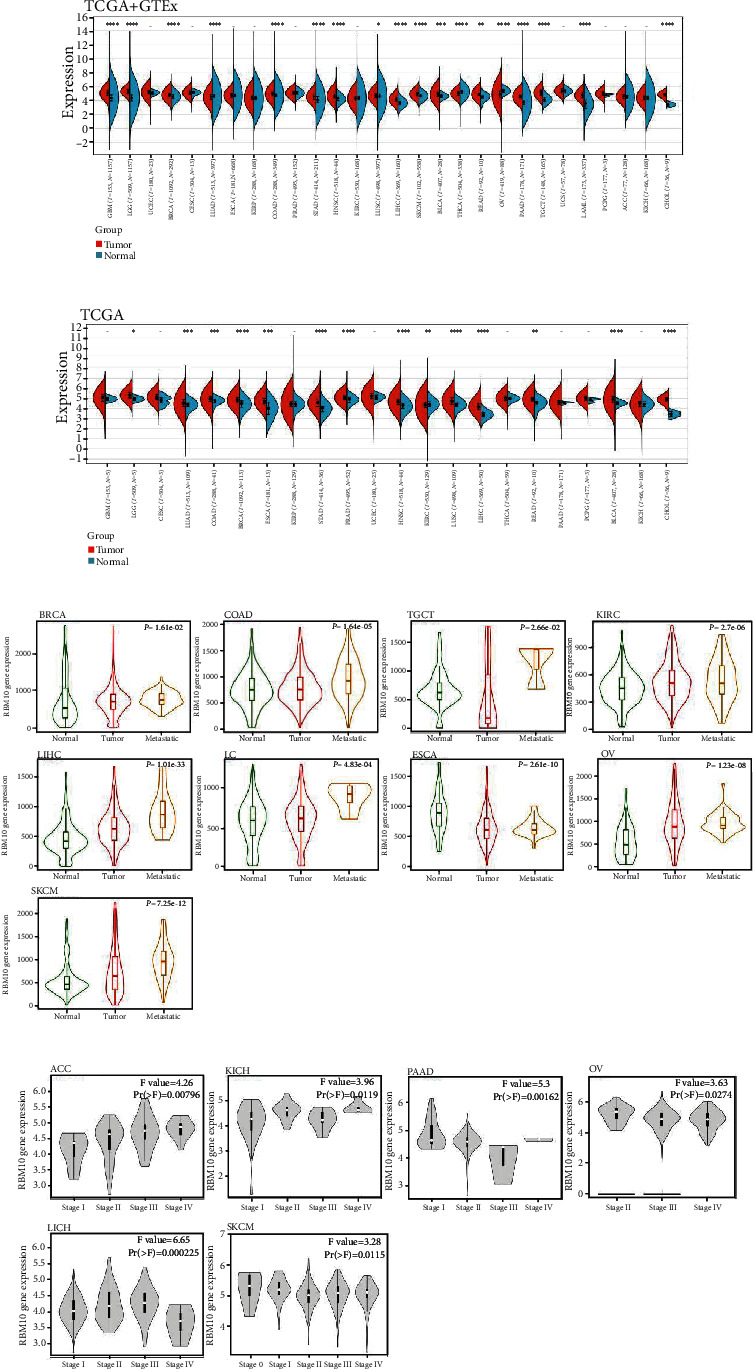 PMC11401663 – fig1