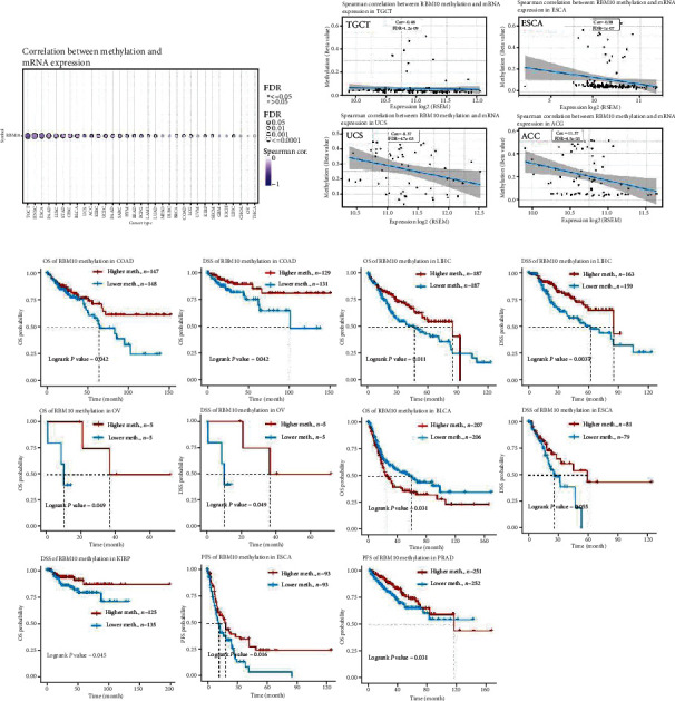 PMC11401663 – fig4