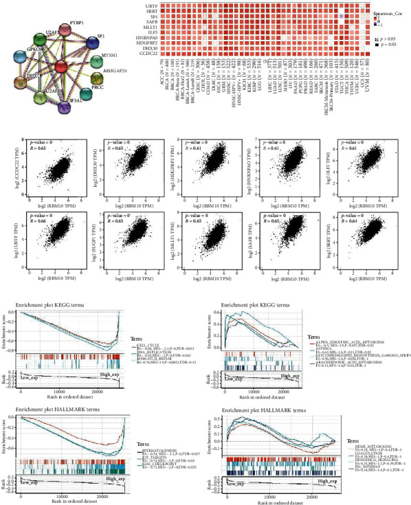 PMC11401663 – fig7