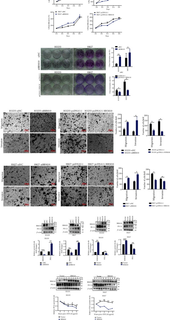 PMC11401663 – fig8