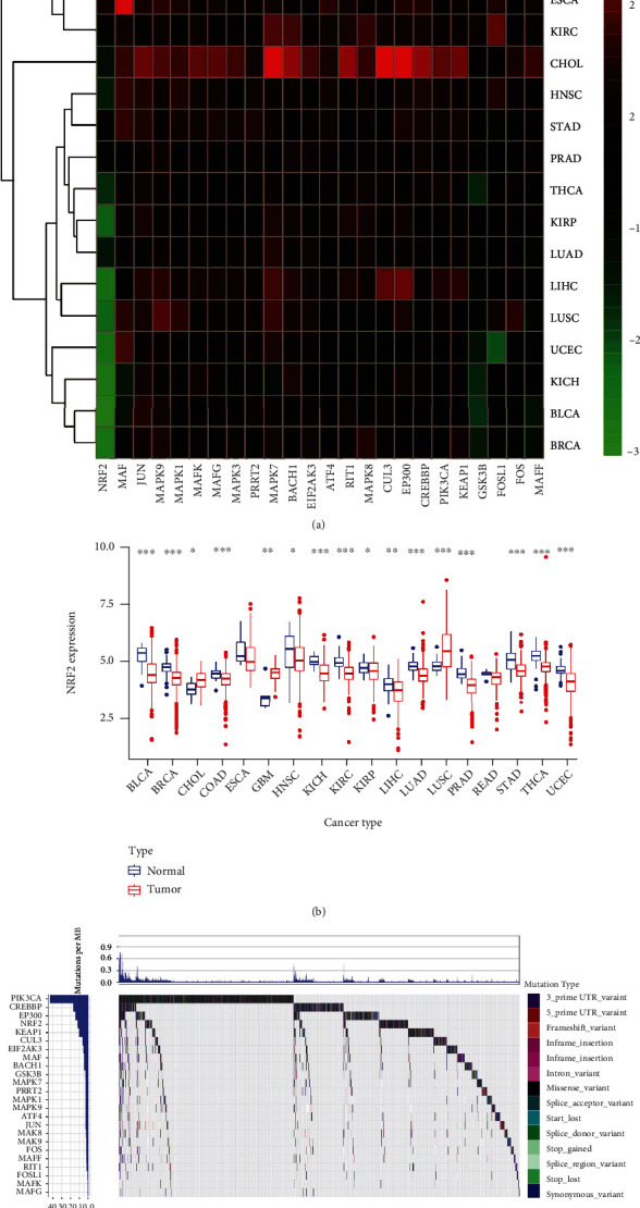 PMC8886747 – fig1