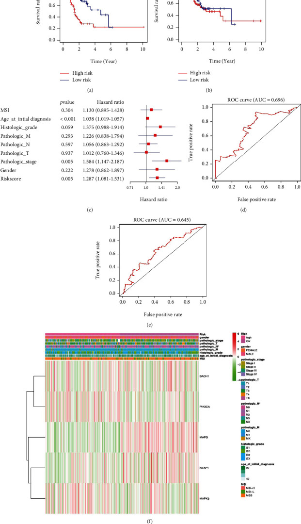 PMC8886747 – fig12