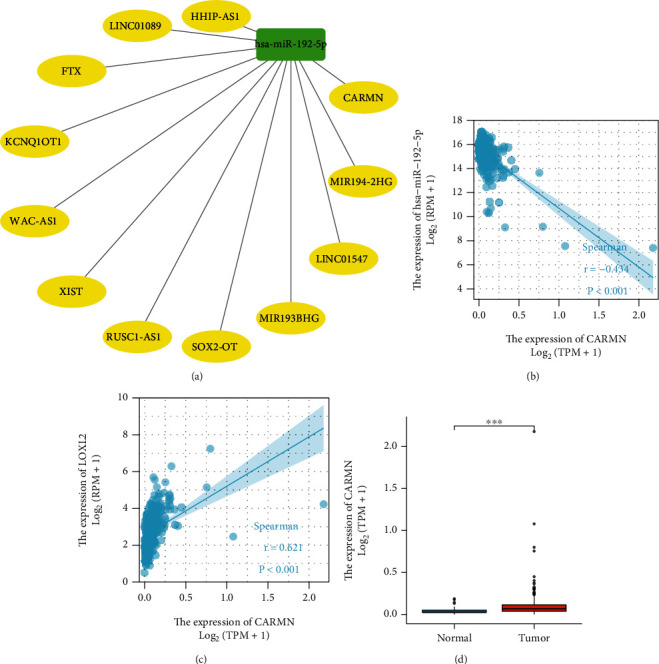 PMC9569233 – fig6