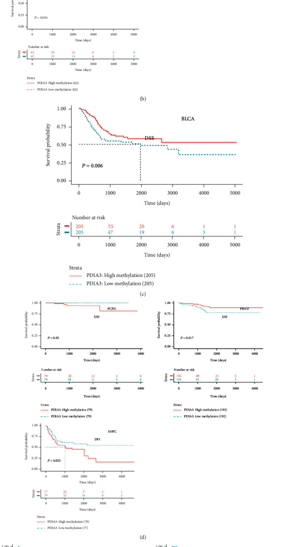PMC9423987 – fig13