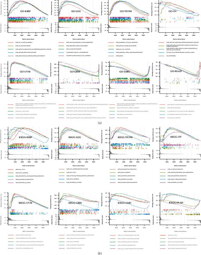 PMC9423987 – fig14