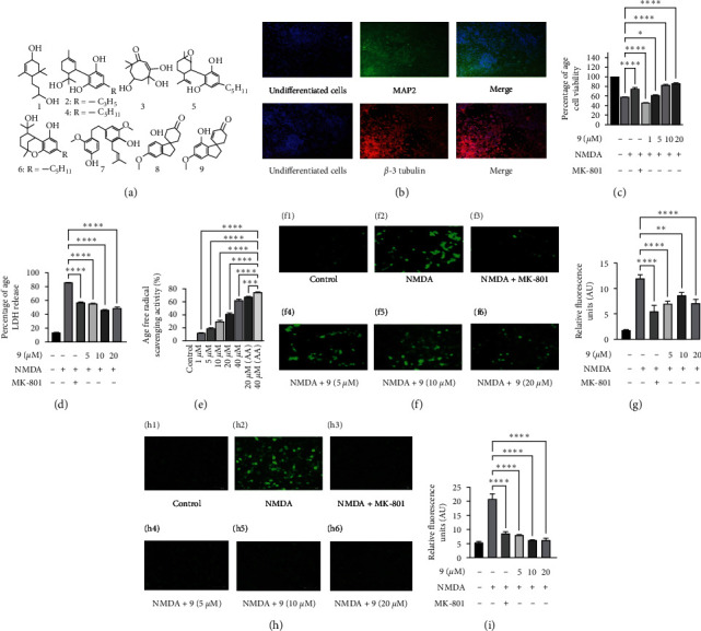 PMC11161259 – fig1