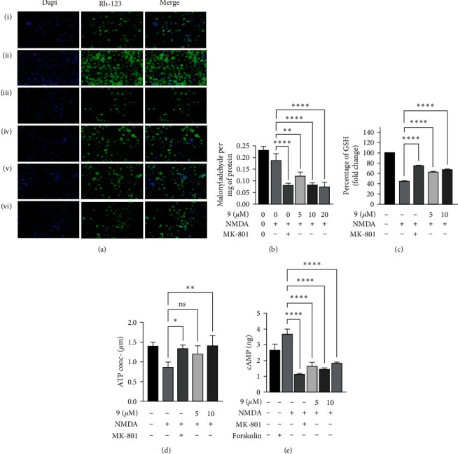 PMC11161259 – fig2