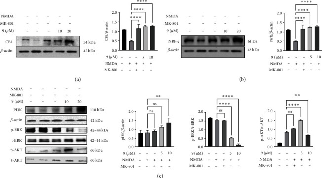 PMC11161259 – fig3
