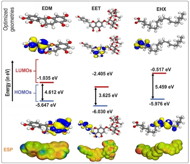PMC12075105 – open202400273-fig-0009