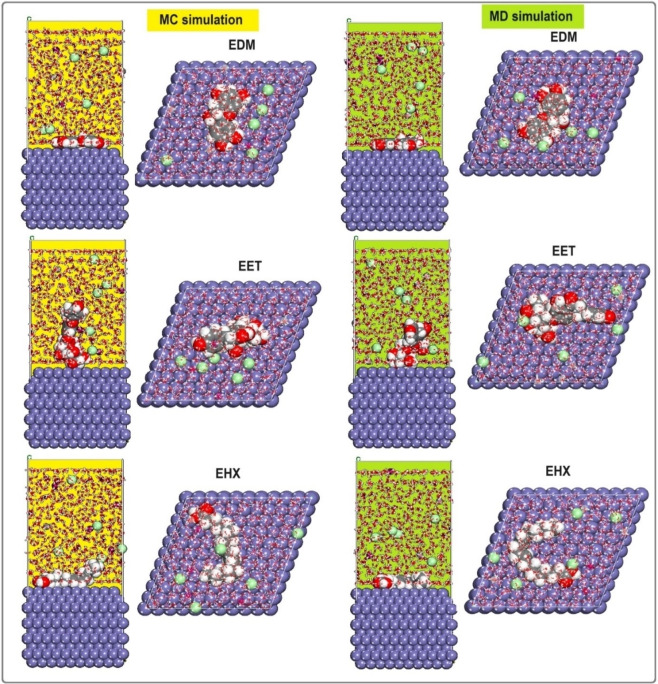 PMC12075105 – open202400273-fig-0010