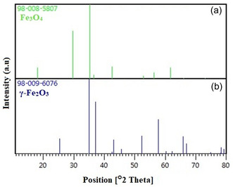PMC12598807 – open449-fig-0004