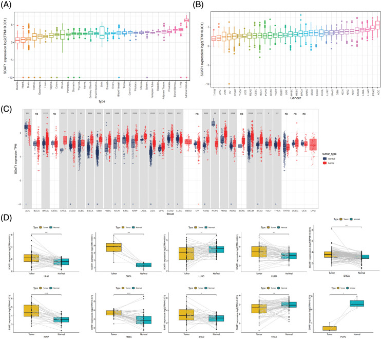 PMC10207962 – fig-1