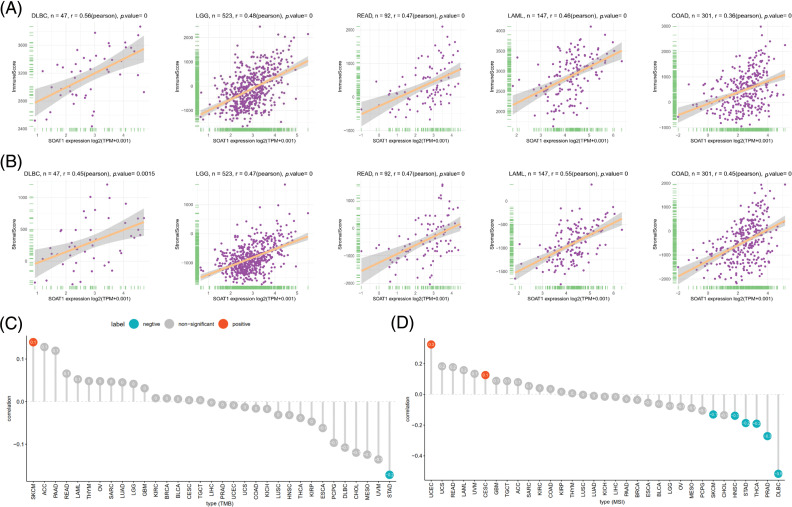 PMC10207962 – fig-2