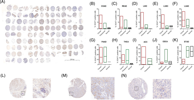 PMC10207962 – fig-S1