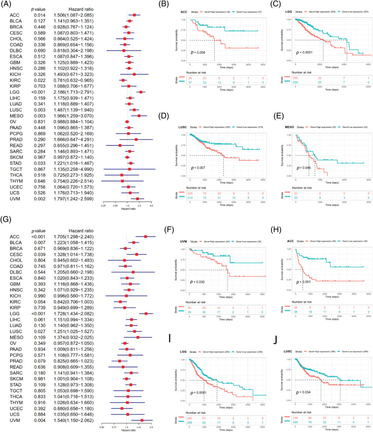 PMC10207962 – fig-S3