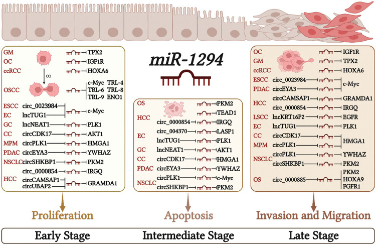PMC10207999 – fig-2