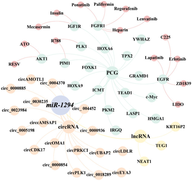 PMC10207999 – fig-3