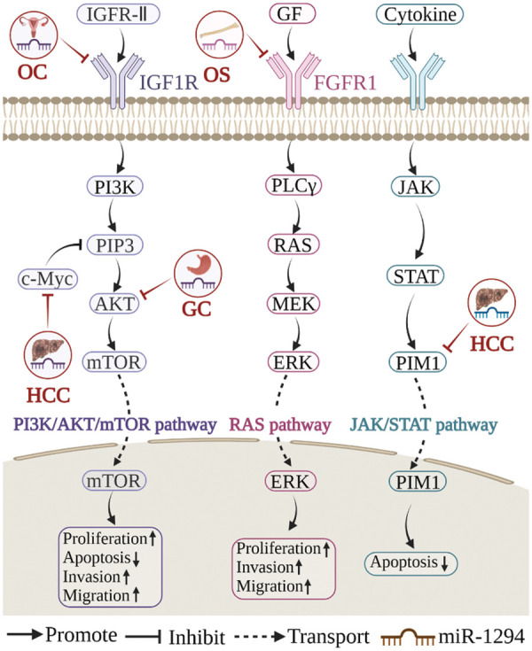 PMC10207999 – fig-4