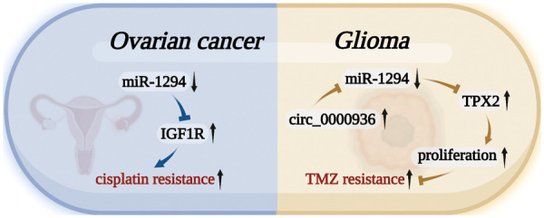 PMC10207999 – fig-5