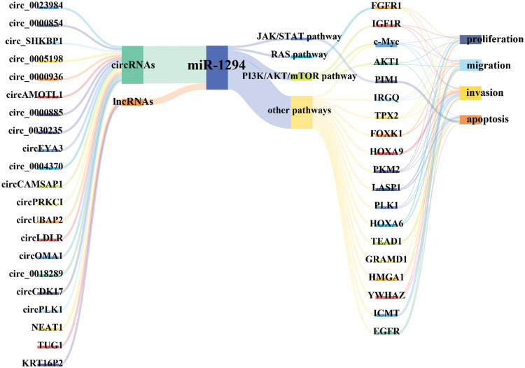 PMC10207999 – fig-6