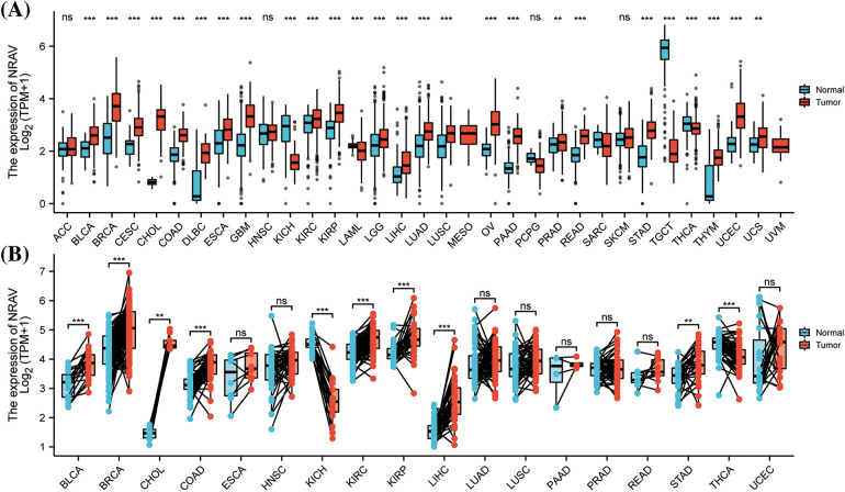 PMC10972727 – fig-1