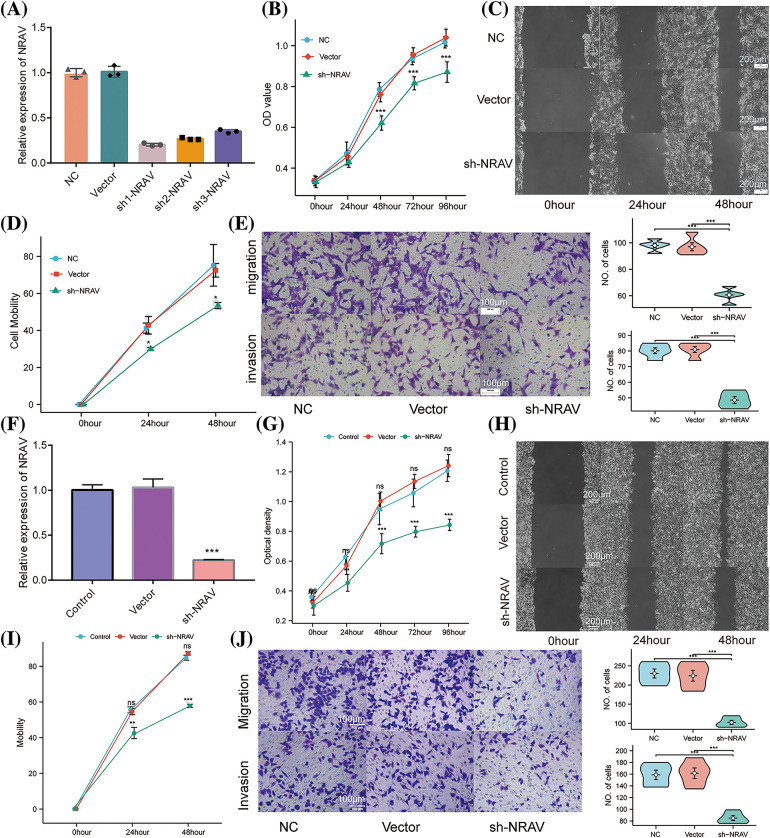 PMC10972727 – fig-4
