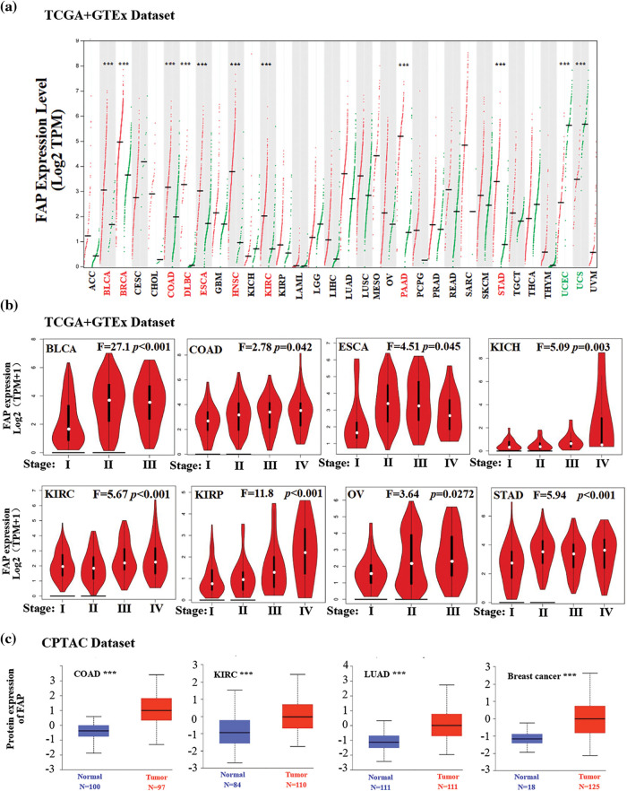 PMC11267059 – fig-1