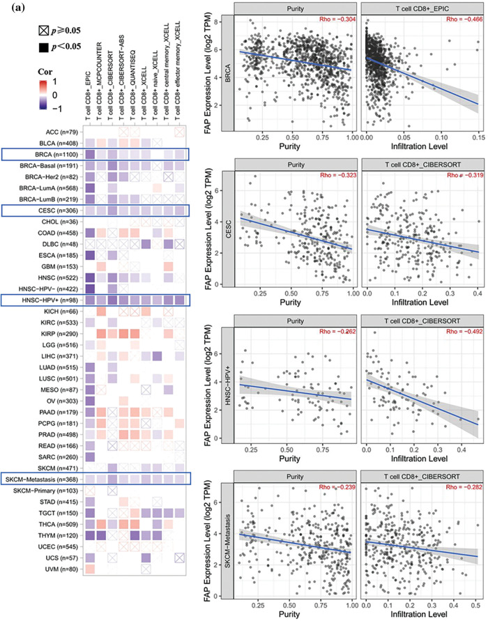 PMC11267059 – fig-3