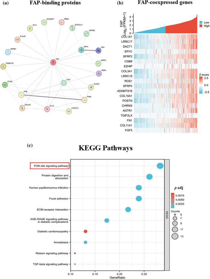 PMC11267059 – fig-4