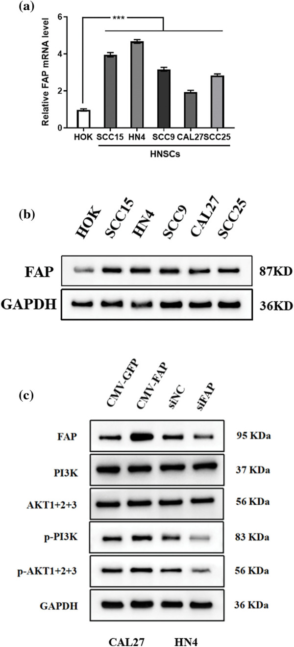 PMC11267059 – fig-6