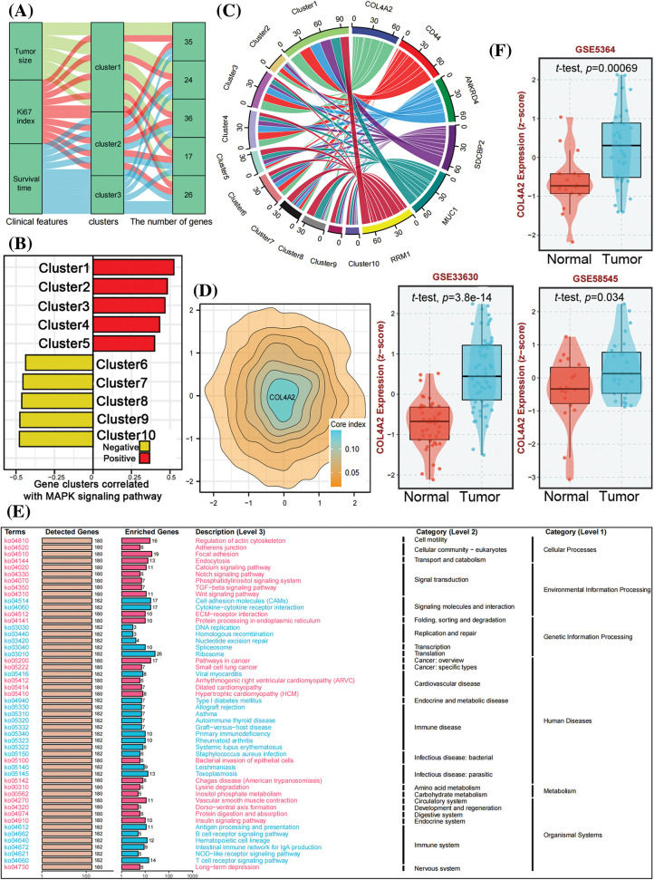 PMC11361908 – fig-1