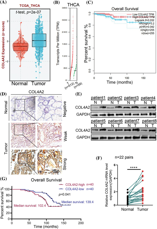 PMC11361908 – fig-2