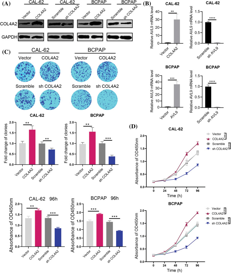 PMC11361908 – fig-3